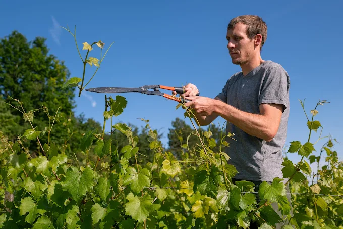Domaine Jean Baptiste Boudier