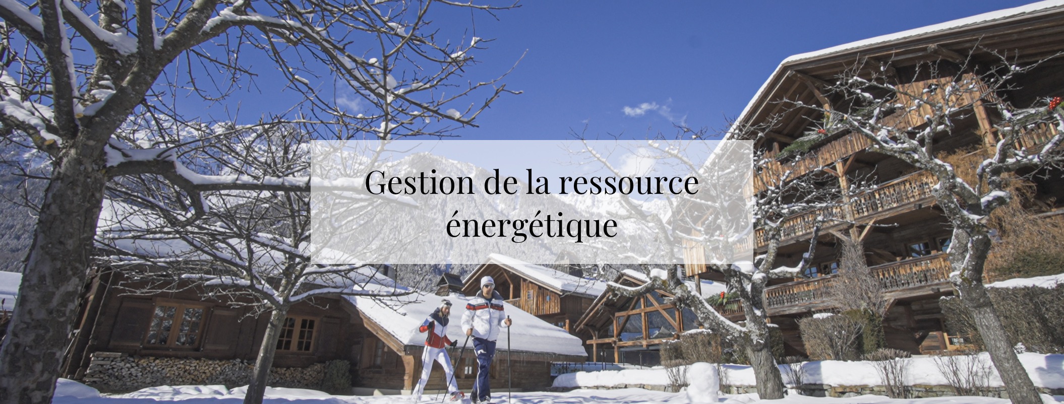 Gestion de la ressource énergétique