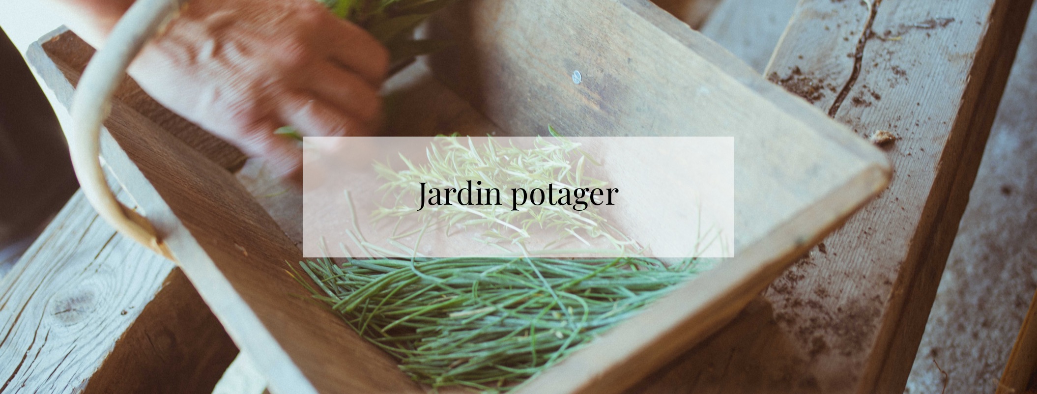 Jardin potager