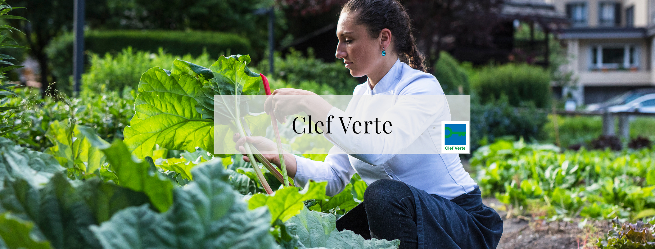 Clé Verte