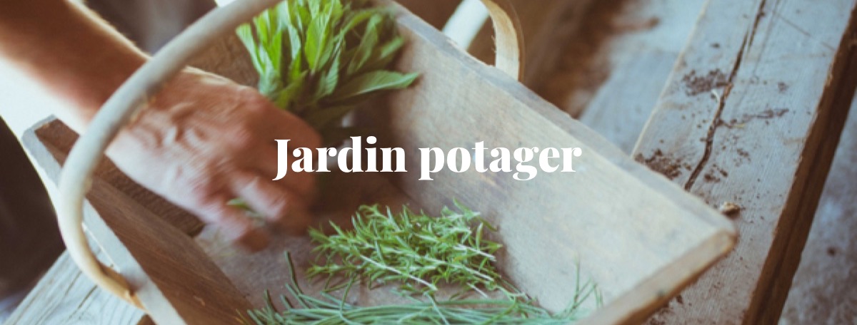 Jardin potager