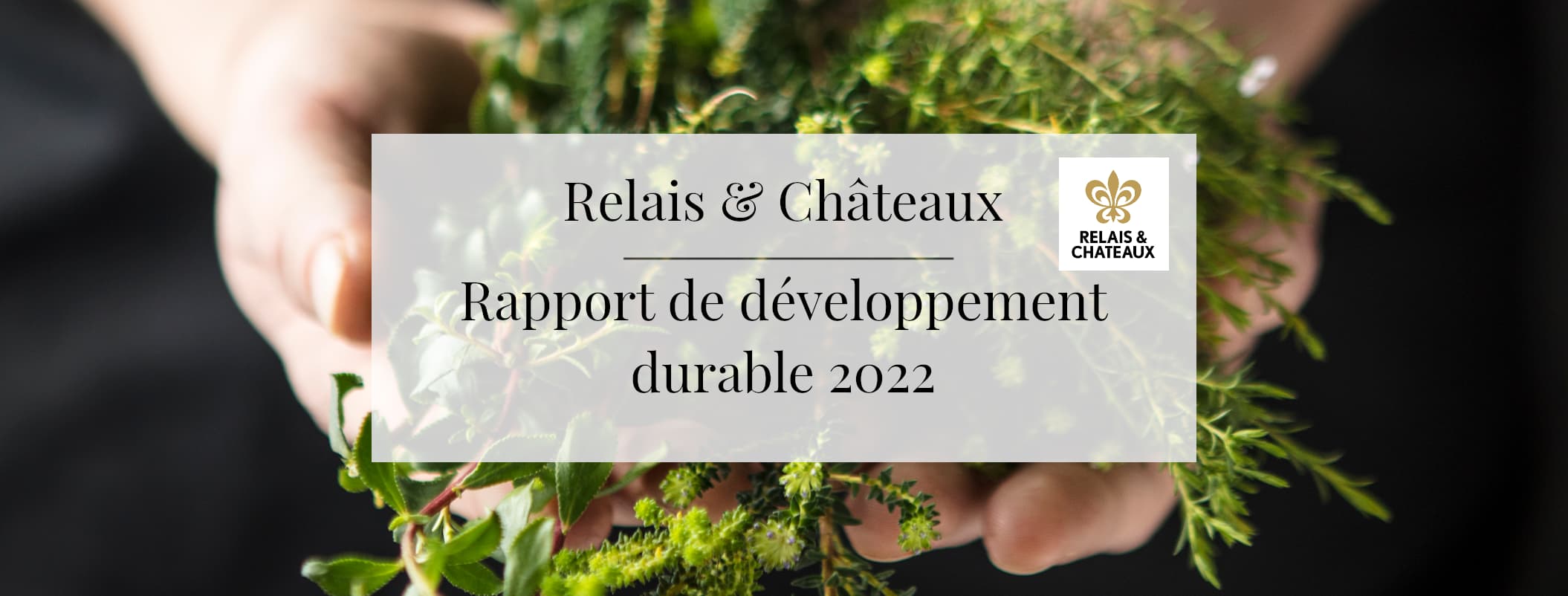 Rapport de développement durable 2022