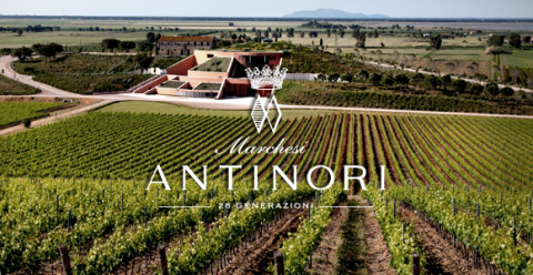 Domaine Antinori