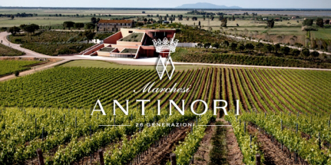 Domaine Antinori