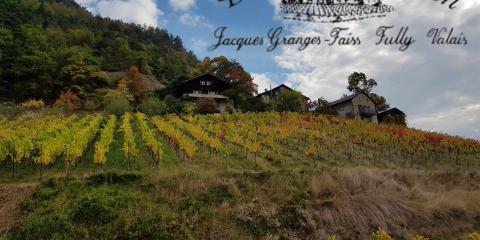 Domaine de Beudon