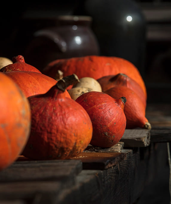 Zéro gaspillage alimentaire