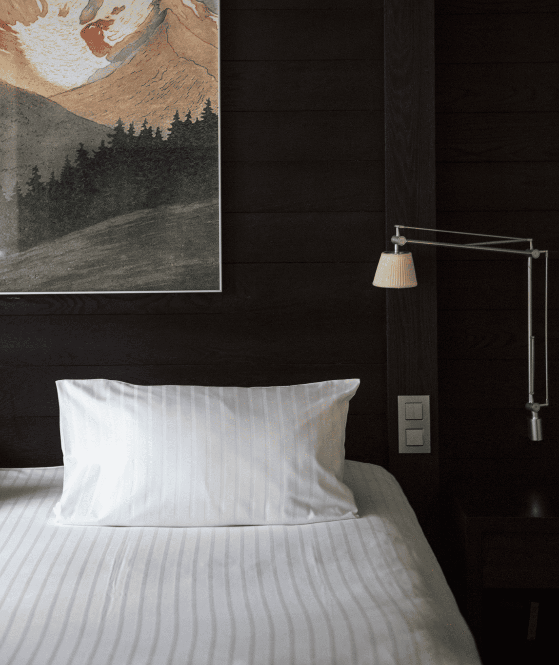 Décoration de la chambre luxe sans cheminée à l'albert 1er