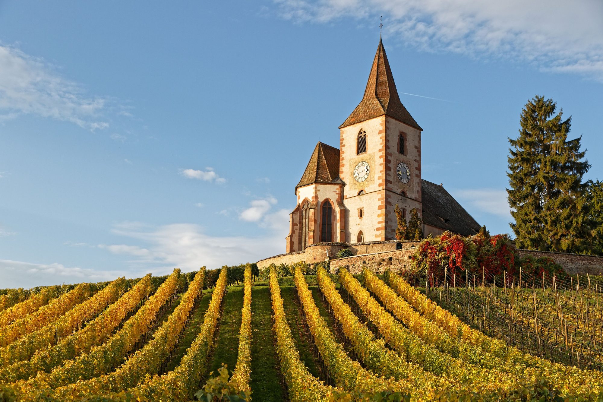 domaine de trimbach